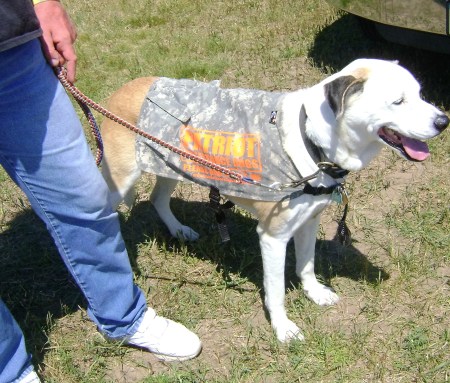 Patriot Assistance Dog